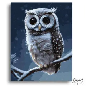 Frosted Owl Midnight Serenity - Paint By Numbers Kit