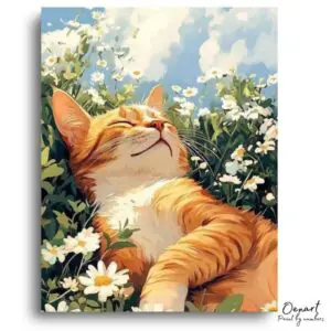 Sunny Catnap in Daisy Field - Paint by Numbers Kit