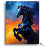 Majestic Black Horse - Paint by Numbers Kit