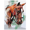 Brown Horse - Paint By Numbers Kit