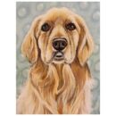 Dog Portrait - Paint By Numbers Kit