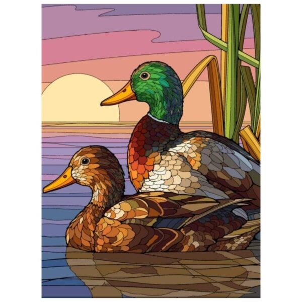 Ducks Couple: Paint By Numbers Kit - Image 2