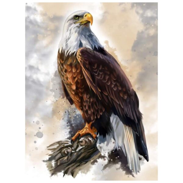 Eagle - Paint By Numbers Kit - Image 2