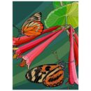 Orange Butterflies: Paint By Numbers Kit