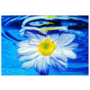 Swimming Flower - Paint By Numbers Kit