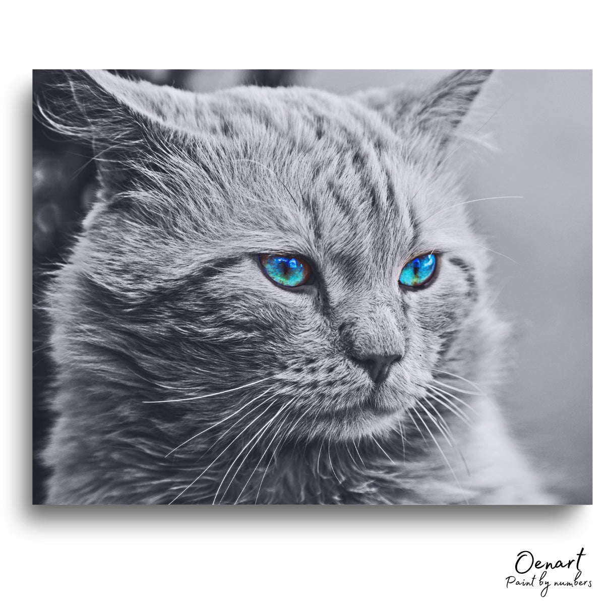 Grey Cat - Diamond Painting Kit - Oenart™
